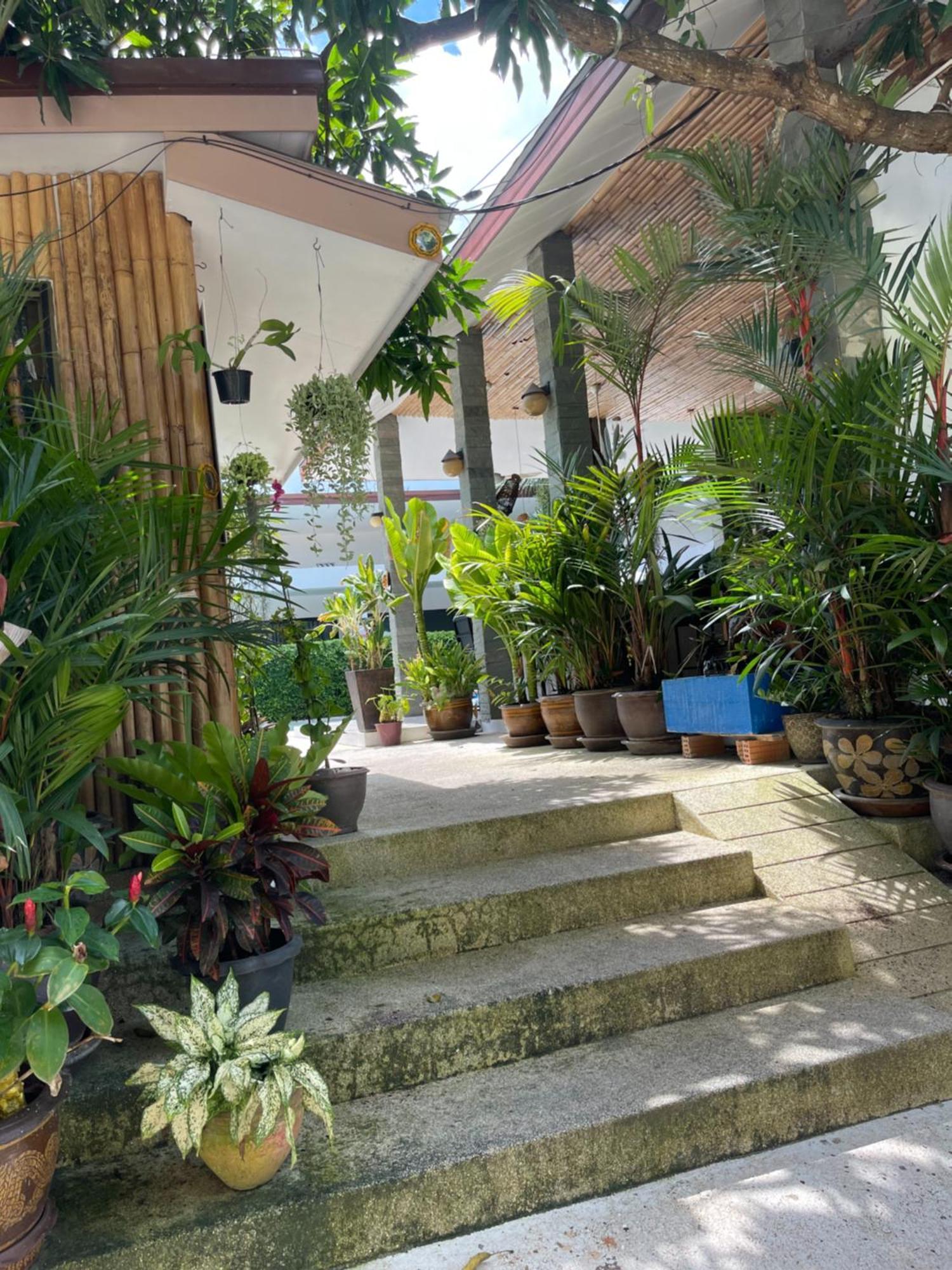 Lotus Bleu Resort & Restaurant Rawai エクステリア 写真